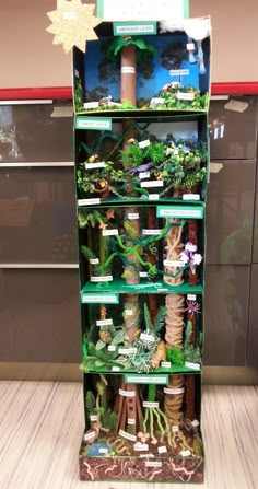 a display case filled with lots of different types of plants and animals in it's shelves