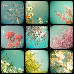 several different pictures of flowers and trees in the same square pattern, each with multiple colors