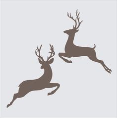 two deer jumping up and down in the air