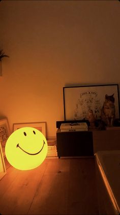 a smiley face light sitting on top of a wooden floor next to pictures and a cat