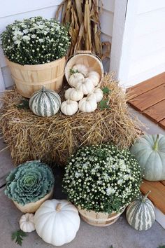 several pumpkins and gourds are sitting on the porch