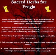 a red poster with the words sacred herbs for freva