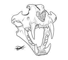 a black and white drawing of a dinosaur's skull with its teeth missing from the ground