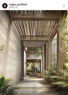 an entrance to a house with lots of greenery on the walls and flooring