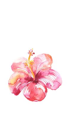 a watercolor painting of a pink flower