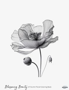 a black and white photo of a flower with the words, blooming beauty fine art floral coloring book