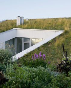 a green roof on the side of a building with purple flowers growing in front of it