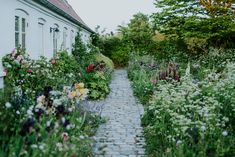 a garden with lots of flowers next to a white house