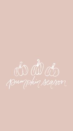 the words pumpkin season written in white on a pink background