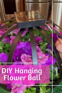 Ever imagined transforming your garden into a stunning floral paradise? This detailed guide on how to create a hanging flower ball (with lights!) will make your garden dream come true. Follow these easy steps and prepare to be amazed by your own creation! Spring Projects, Marigold Flower, Hanging Flower, Solar Powered Lights, Flower Ball, Diy Hanging, Floral Wire