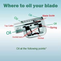 the parts of a hair clipper with labels on it and an image of where to oil your blade