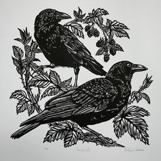 two black birds sitting on top of a tree branch next to leaves and berries,