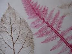 two different types of leaves are shown in this close up photo, one is pink and the other is brown