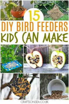 some bird feeders that are hanging from a tree with the words diy bird feeders kids can make