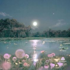 the moon is shining over a pond with water lilies