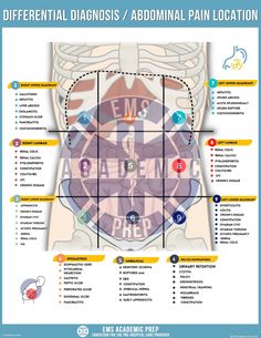 the back side of a diagram showing different types of pain