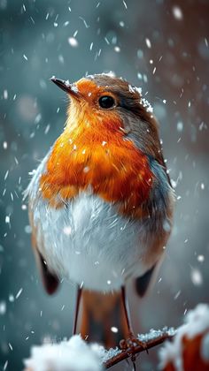 a bird sitting on top of a snow covered branch