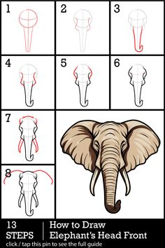 how to draw an elephant's head with step by step instructions for beginners