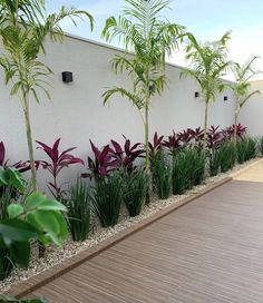 a wooden deck next to a white wall with purple flowers and green plants growing on it