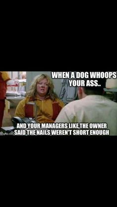 -repinned- Groomer humor. Veterinary Memes, Veterinary Medicine Humor, Vet Tech Quotes, Veterinarian Medicine, Vet Humor, Groom Room