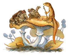 three frogs sitting on top of a mushroom