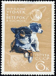 a postage stamp with two dogs and the moon in the sky, on top of a brown background