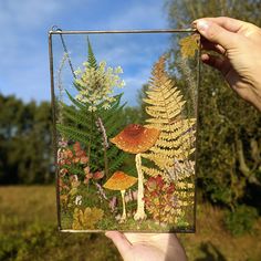 a person holding up a glass block with some plants and mushrooms on it in the woods