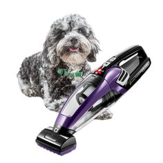 a dog is laying on the floor with a hair dryer