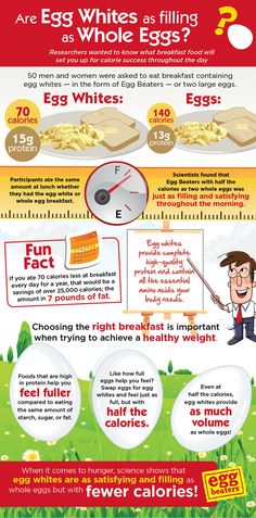 an info poster with different types of eggs and other things to eat in the kitchen