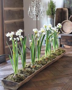 an advertisement for a flower shop with flowers and plants in the center, on top of a wooden table