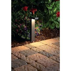 a light that is on in the ground next to some grass and flowers at night