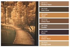 the color scheme for an autumn scene is shown