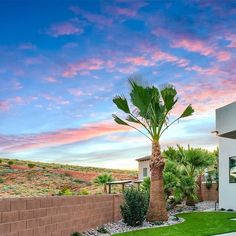 a palm tree sitting in the middle of a yard