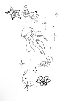 an ink drawing of jelly fish and starfish