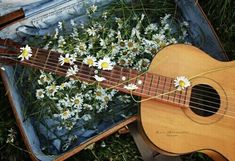 an acoustic guitar with daisies in a suitcase