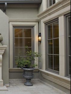 a plant in a pot sitting on the side of a building