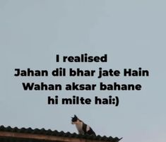 a black and white cat sitting on top of a roof next to a sky background