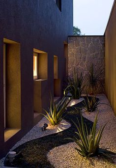 an outside view of a house with plants and rocks in the front yard at night