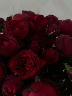 a bouquet of red roses is shown in this close up photo, with the stems still attached