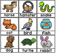 an animal and bird word match game with words that are in the same color scheme