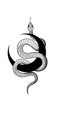 a black and white drawing of a snake with a spider on it's back