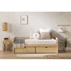 a living room with a couch, rug and potted plant on the side table