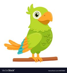 a green parrot sitting on top of a tree branch with an orange beak and yellow legs