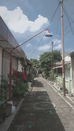 an empty street lined with potted plants next to buildings and power lines in the distance