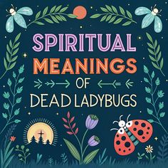 Transformative : Have you ever found a tiny, motionless ladybug and wondered what it might mean? These small, spotted insects are often seen as lucky charms when they'...