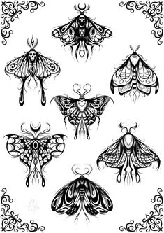 six different moths with intricate designs on their wings, all drawn in black and white