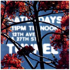 a tree with red flowers in front of a blue sky and the words at & t days on it