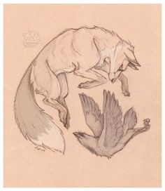 a drawing of two foxes flying next to each other