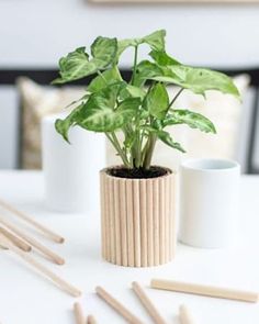 Plant Pot Diy, Diy Lampe, Diy Plant Hanger, Diy Pots, Diy Dollhouse Furniture, Barbie Furniture, Miniature Crafts, Decor Pieces, Diy Plants