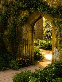 an archway in the middle of a garden